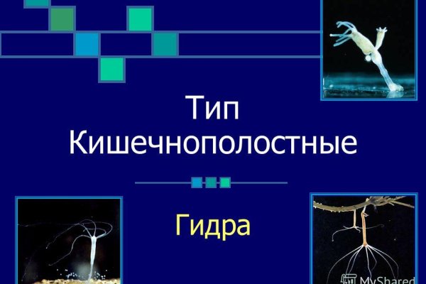 Ссылка кракен kr2web in