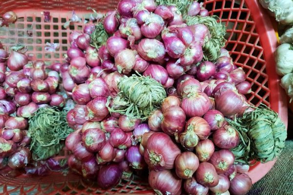 Ссылка кракен официальная тор